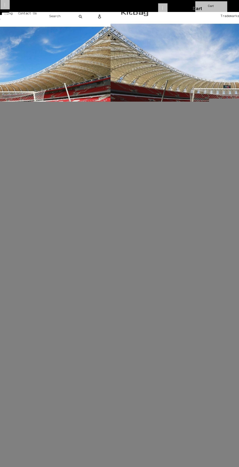 lekinis.com shopify website screenshot