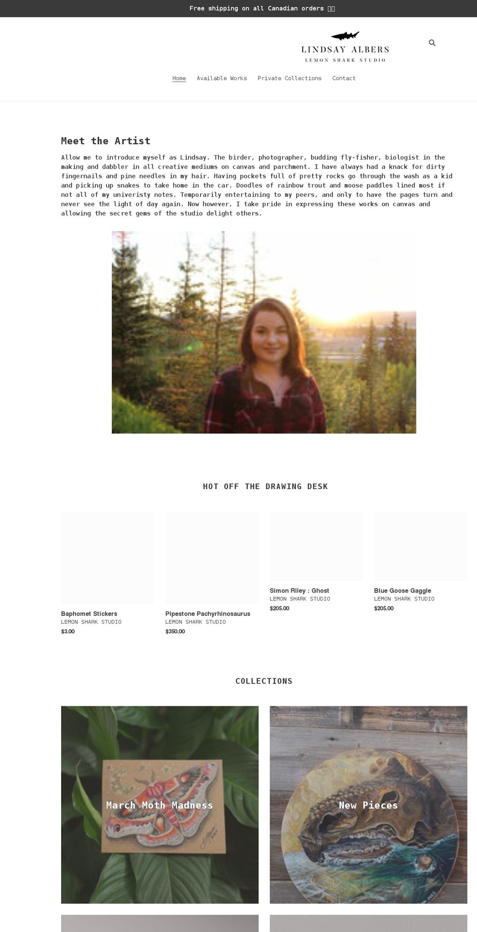 lemonsharkstudio.ca shopify website screenshot