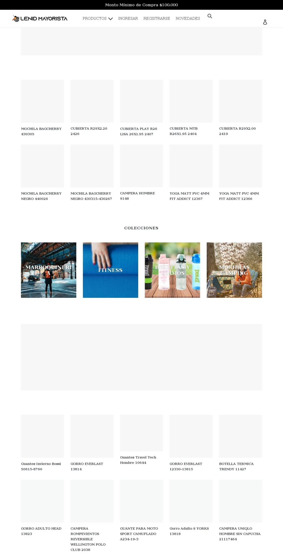 lenidmayorista.com shopify website screenshot