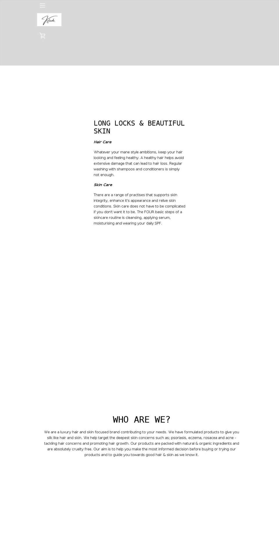 lenoirmer.com shopify website screenshot