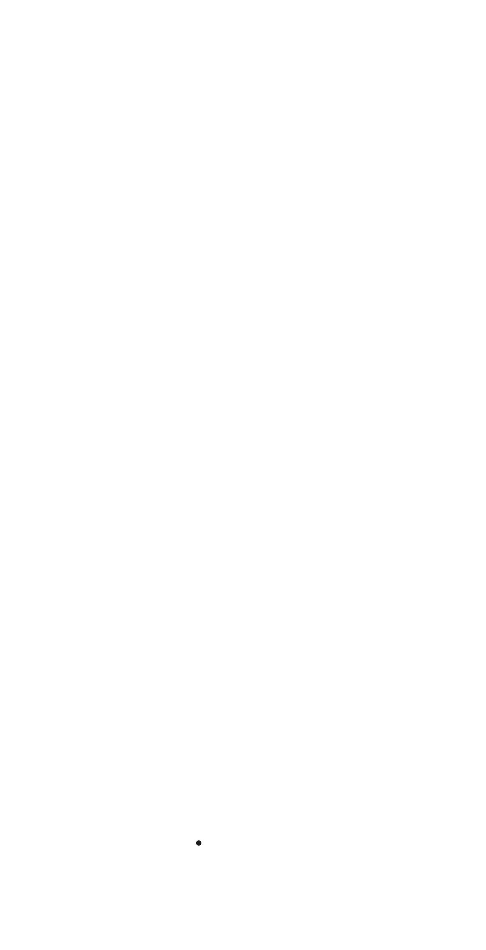 leointown.com — Shopify storefront screenshot