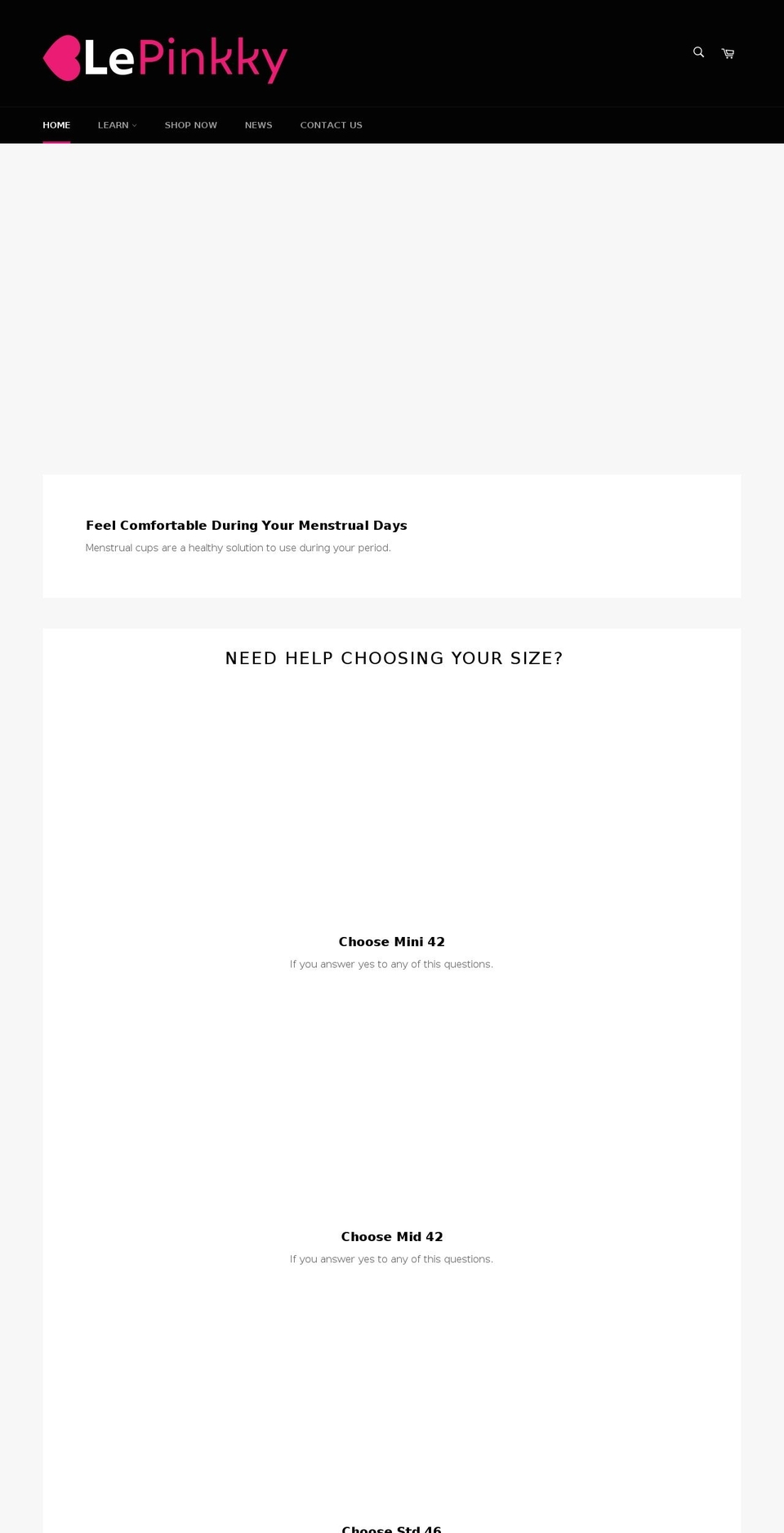 lepinkky.com shopify website screenshot