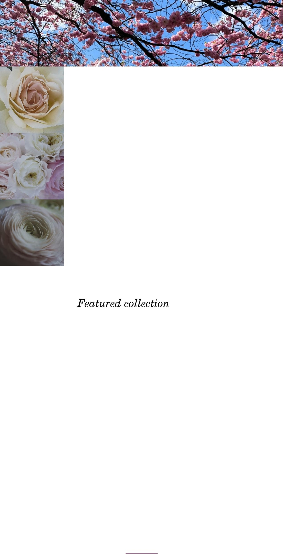 lesandco.com shopify website screenshot