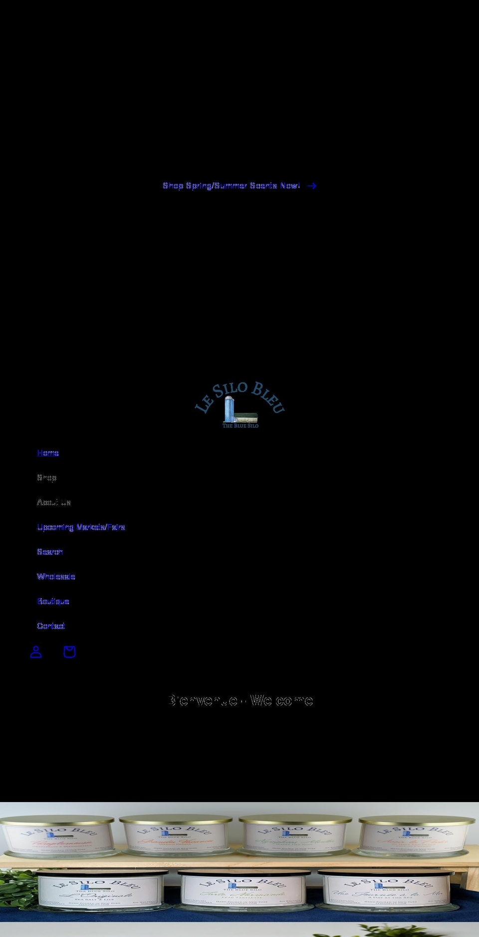 lesilobleu.com shopify website screenshot