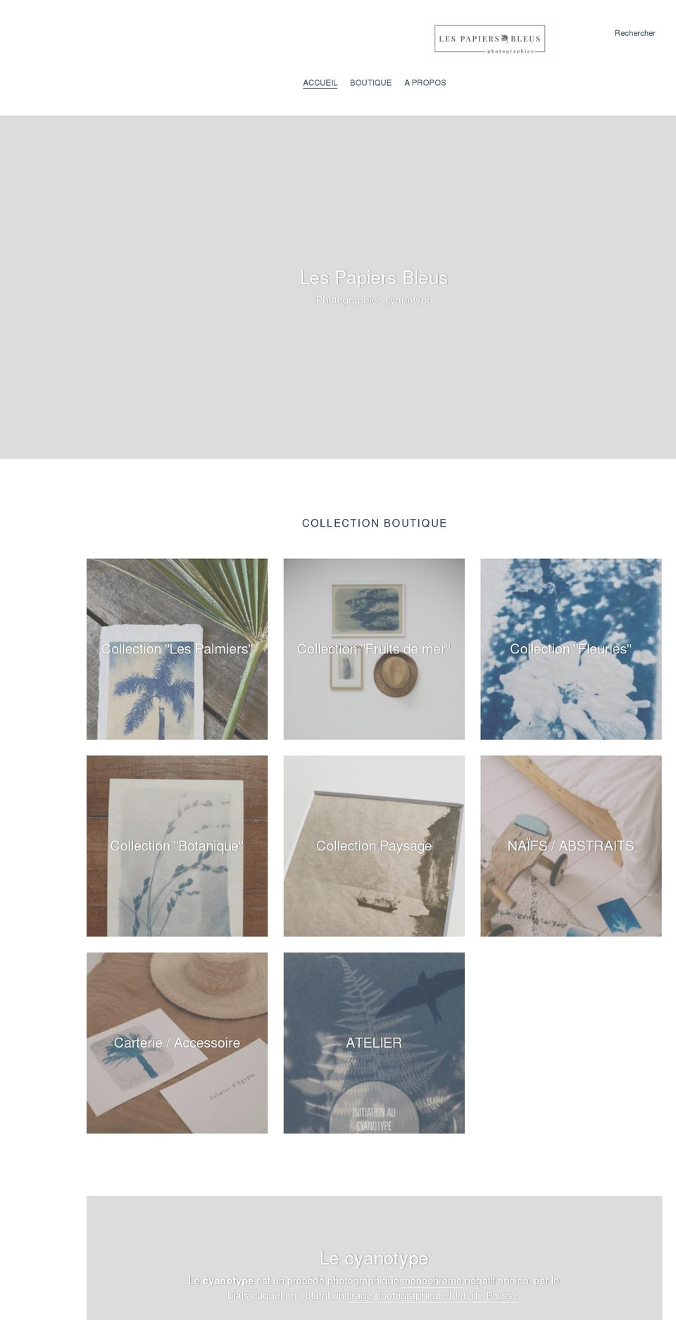 lespapiersbleus.com shopify website screenshot