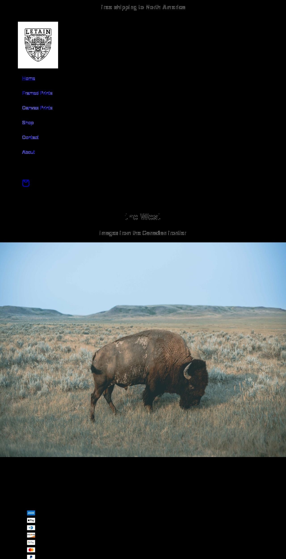 letain.com shopify website screenshot