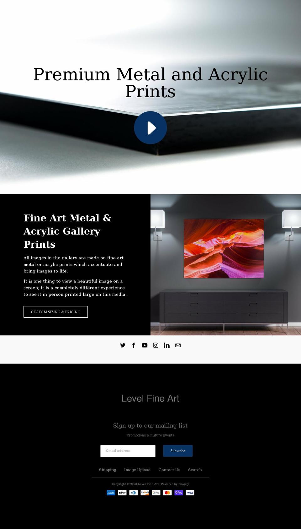 levelfineart.com shopify website screenshot