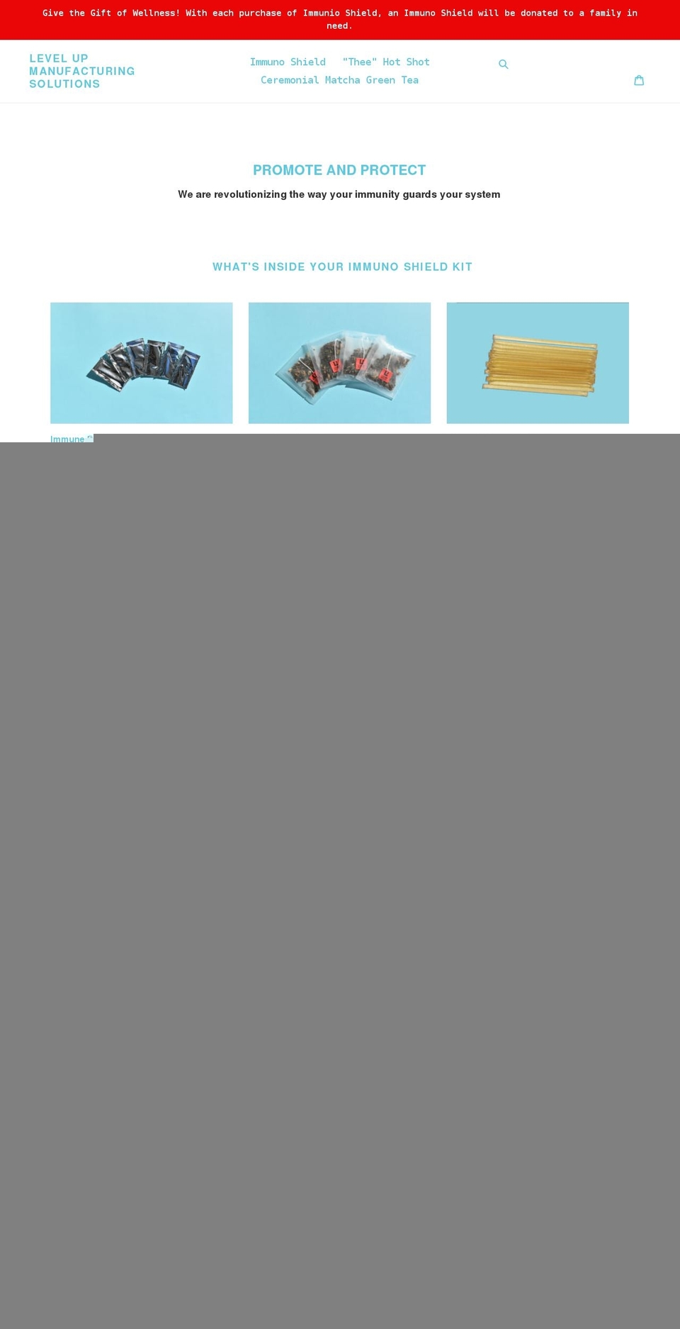 levelupmfgsolutions.com shopify website screenshot