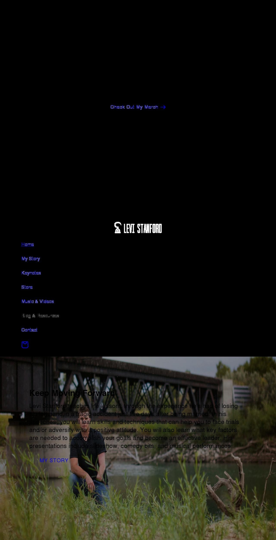 levistanford.com shopify website screenshot