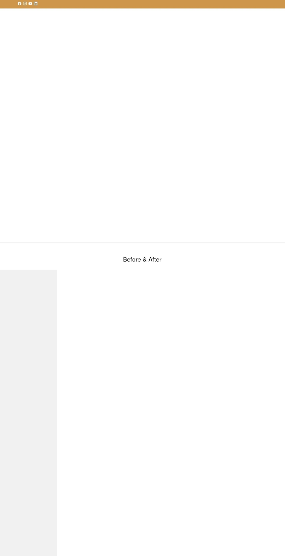 levonyeproffessionalsbrand.com shopify website screenshot