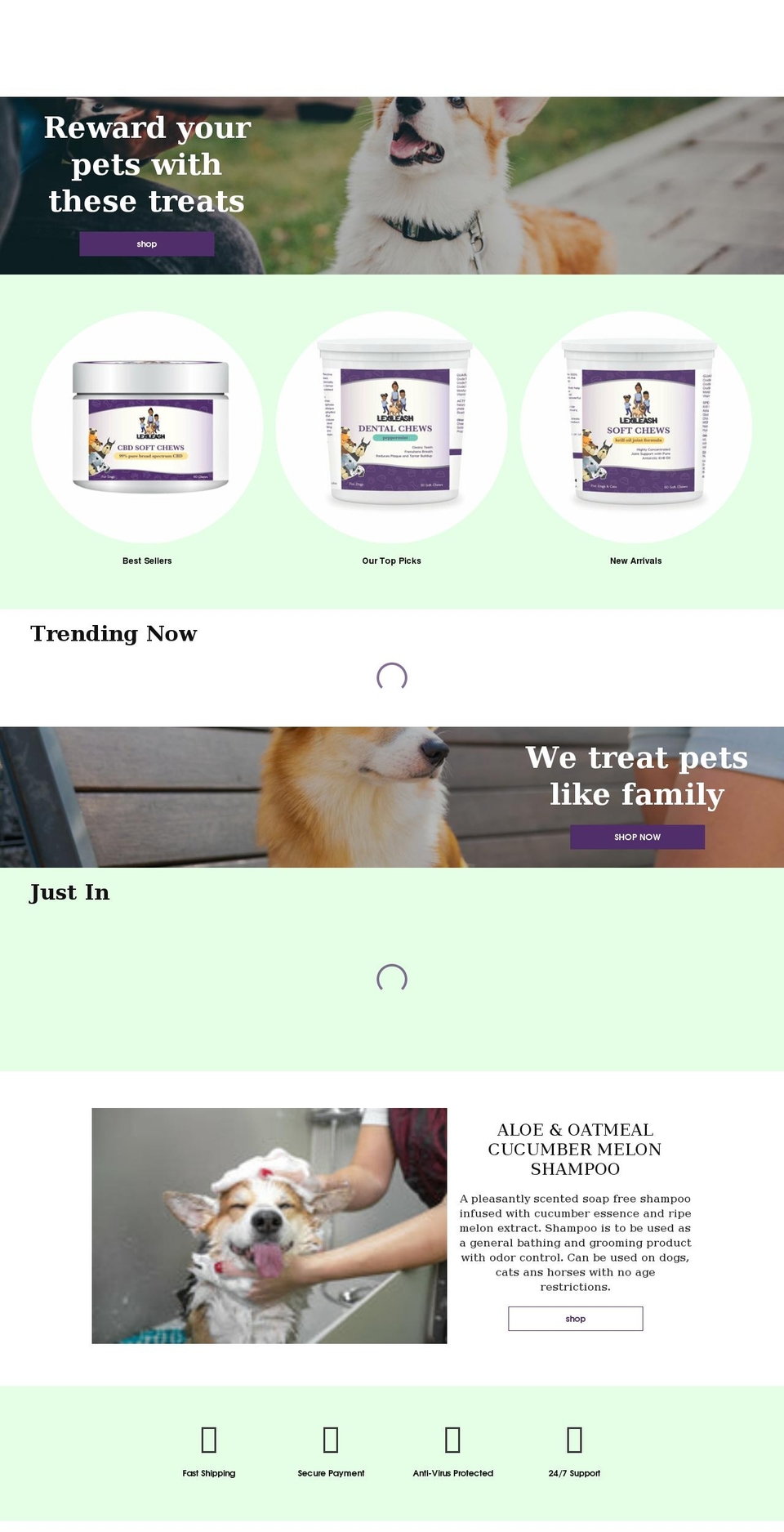 lexileash.com shopify website screenshot