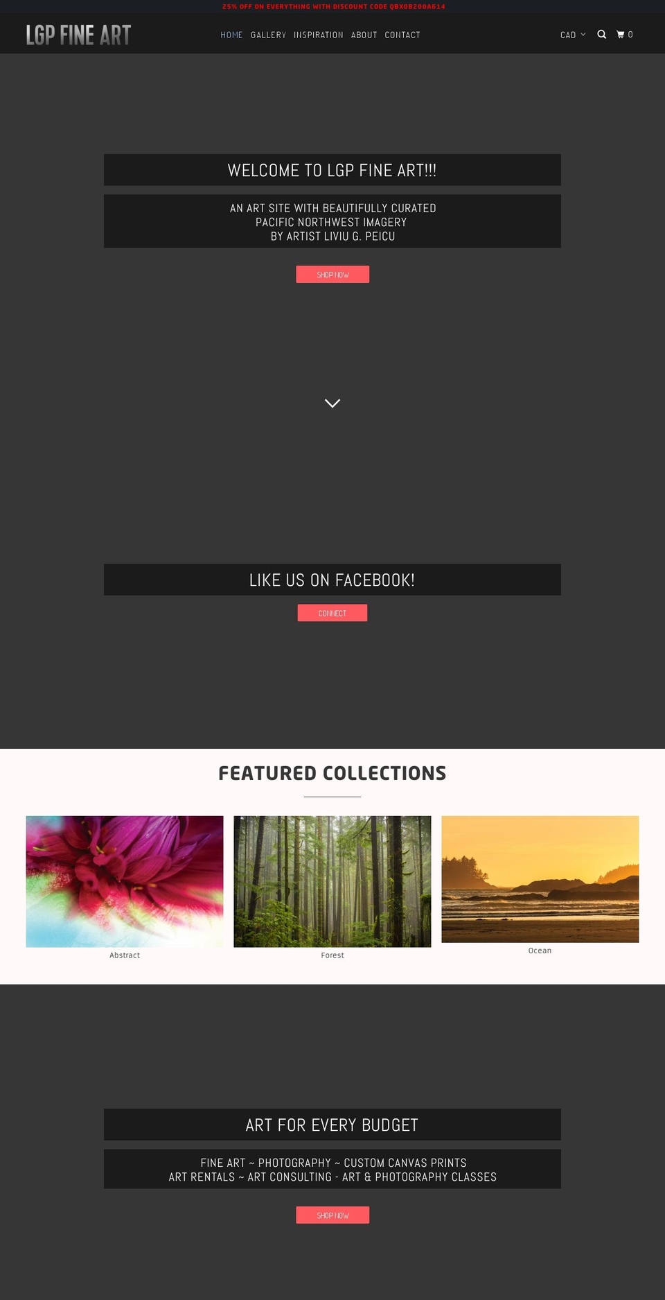 lgpfineart.com shopify website screenshot