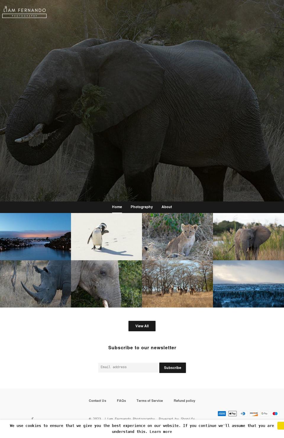 liamfernando.com shopify website screenshot