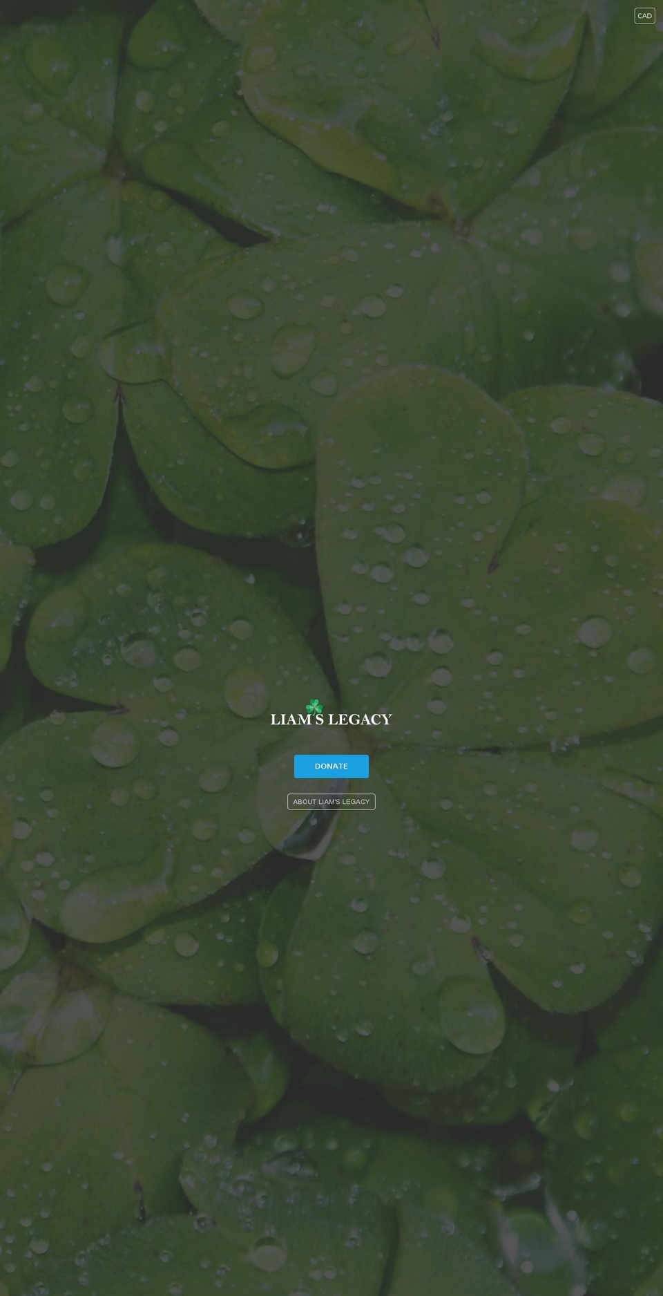 liamslegacy.com — Shopify storefront screenshot