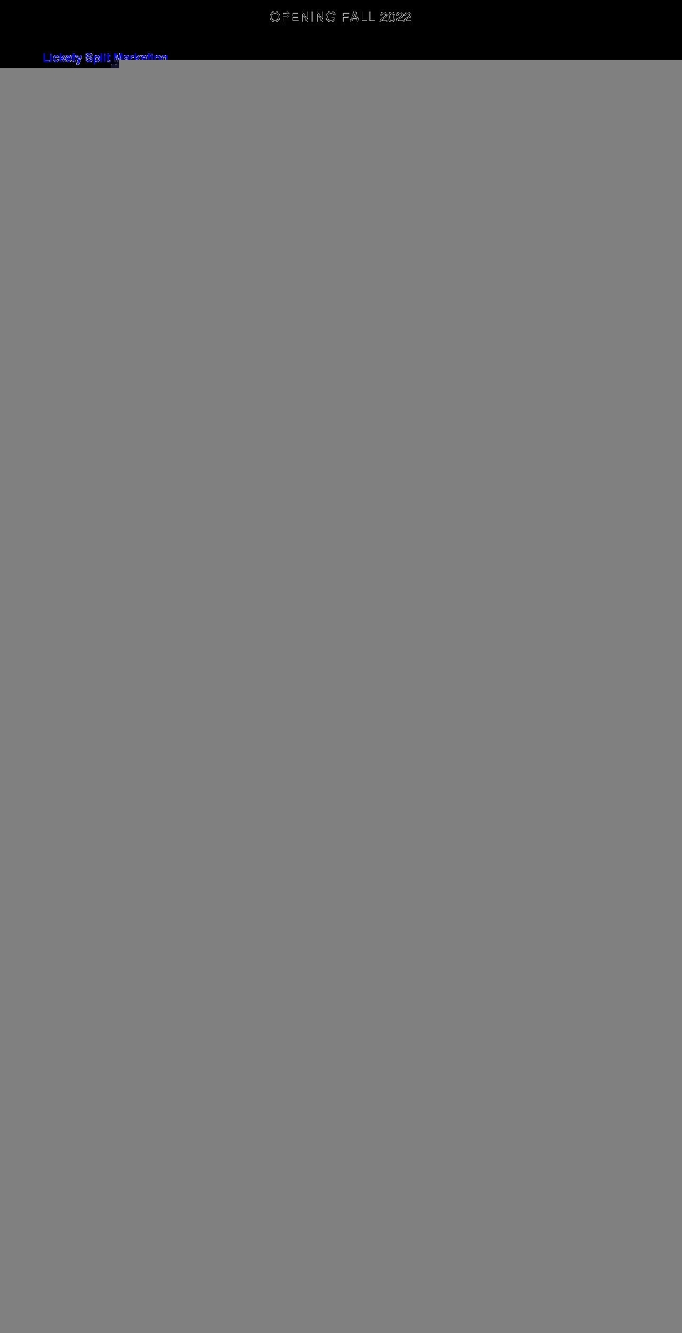 licketysplitmarketing.com shopify website screenshot