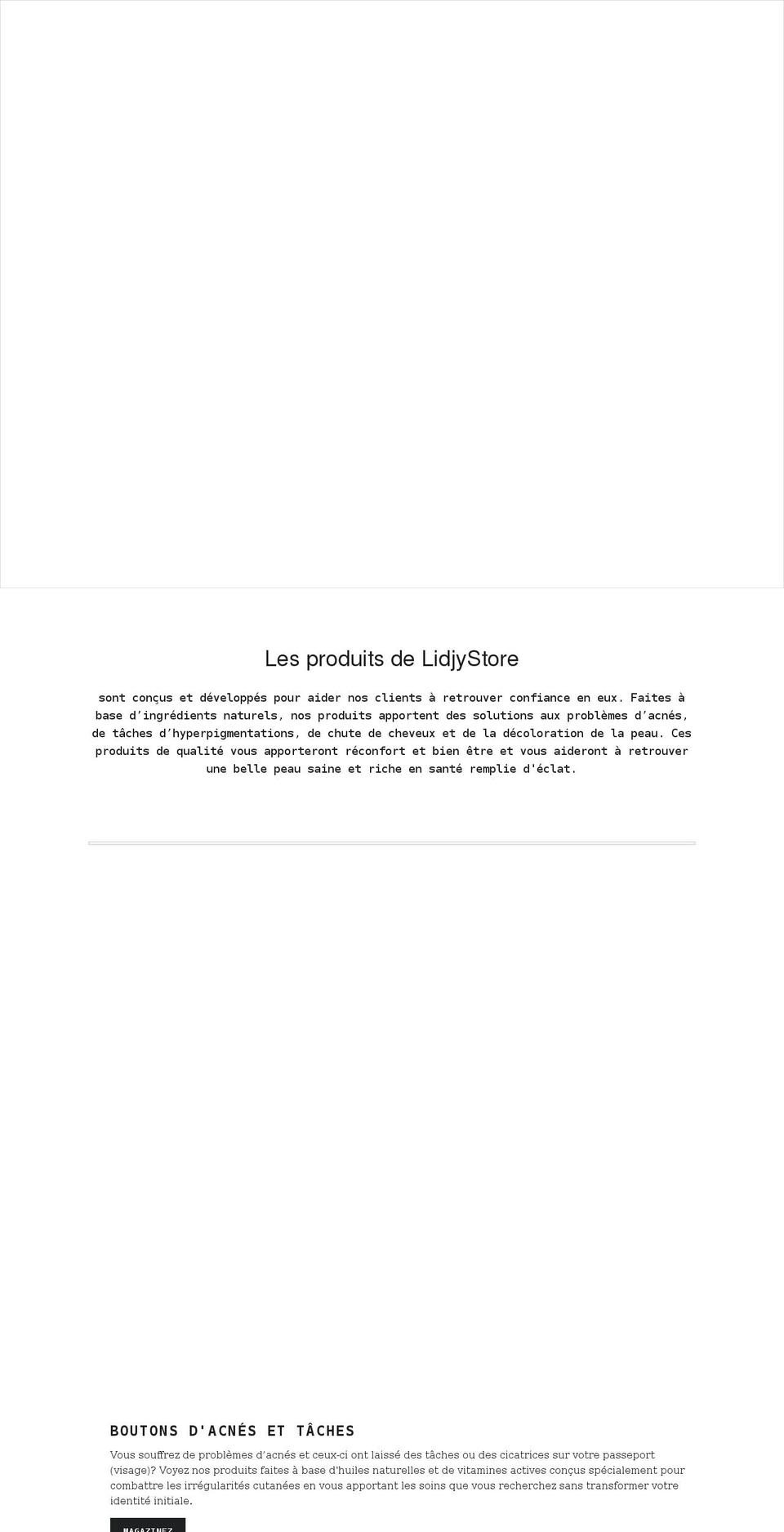 lidjystore.com shopify website screenshot