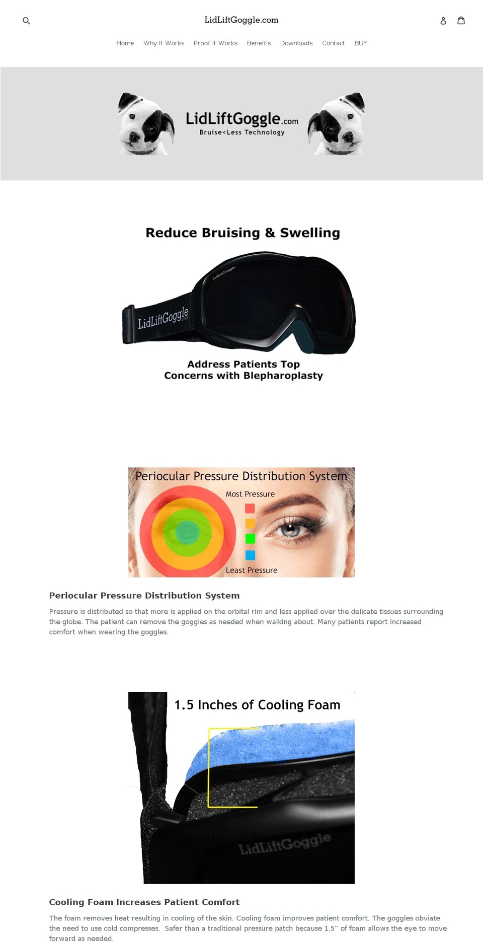 lidliftgoggle.com — Shopify storefront screenshot