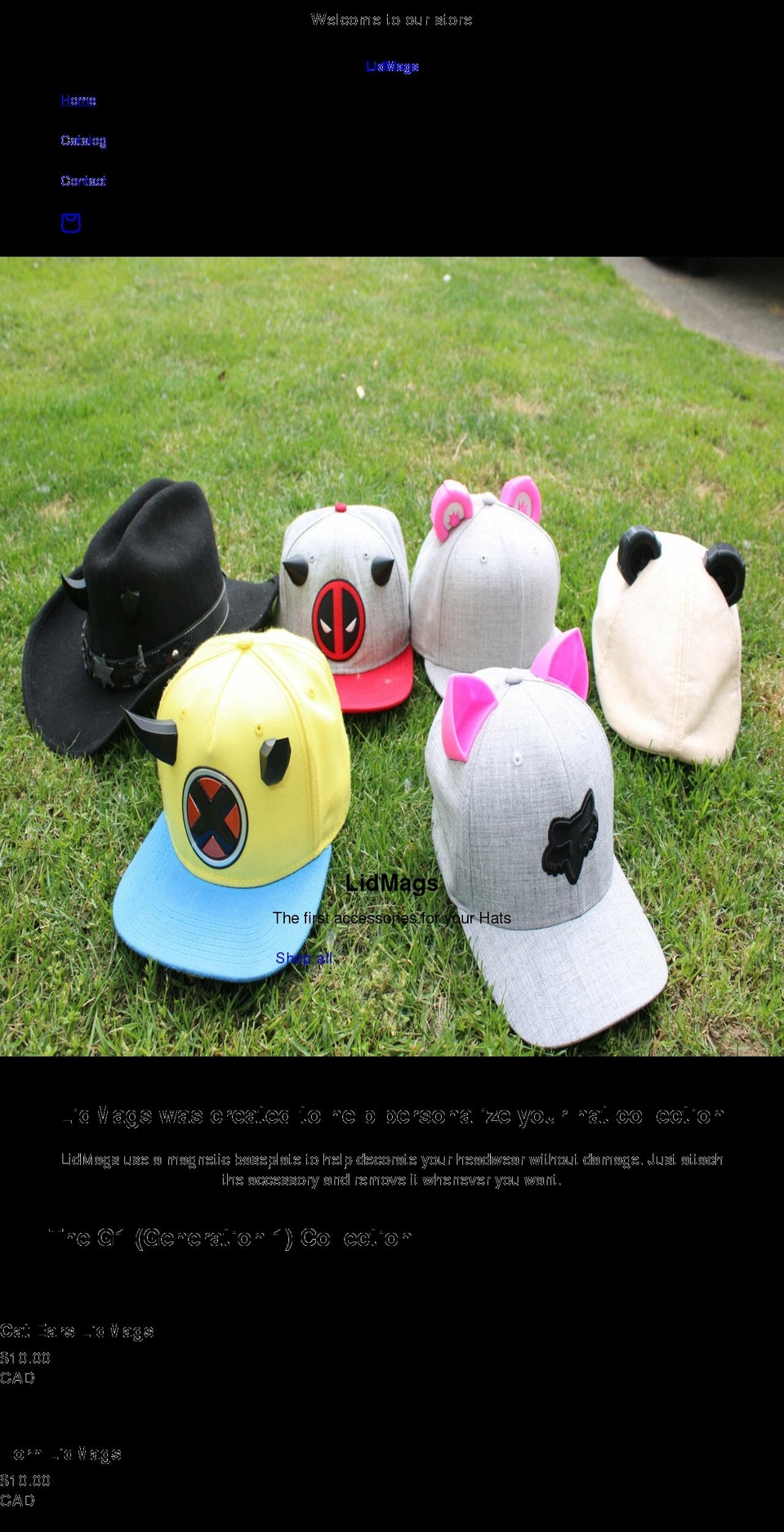 lidmags.com shopify website screenshot