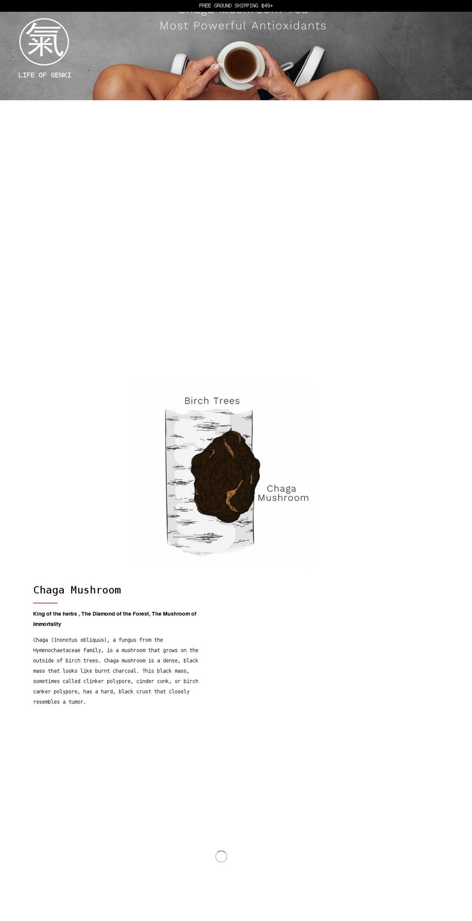 lifeofgenki.com shopify website screenshot