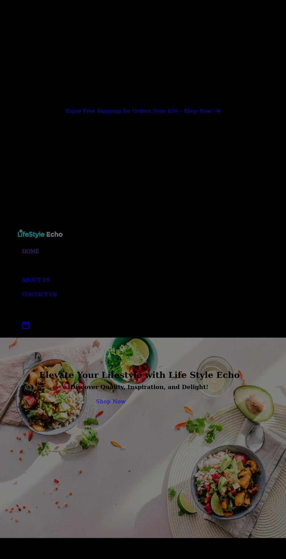 lifestyleecho.com shopify website screenshot