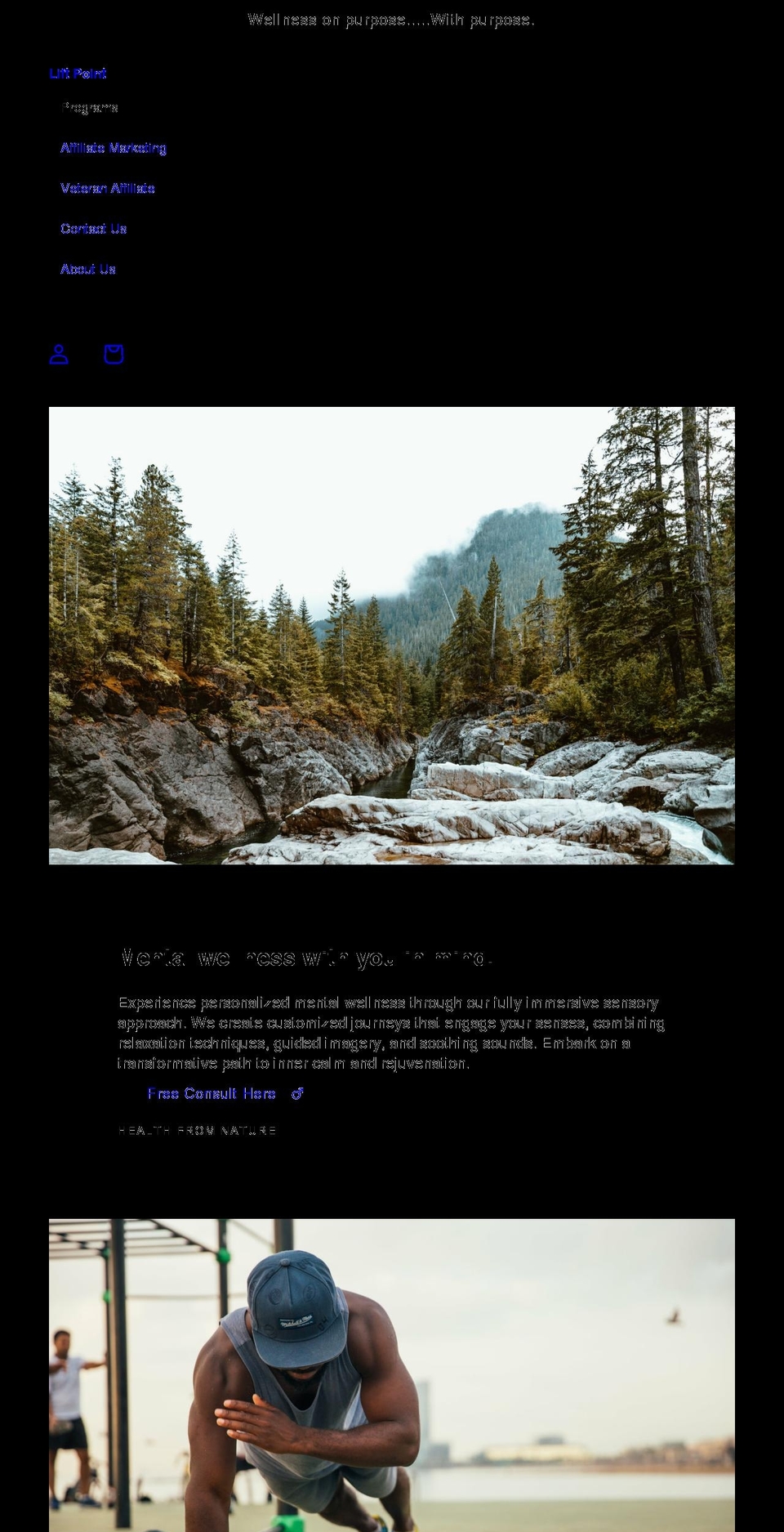 lift-point.com shopify website screenshot