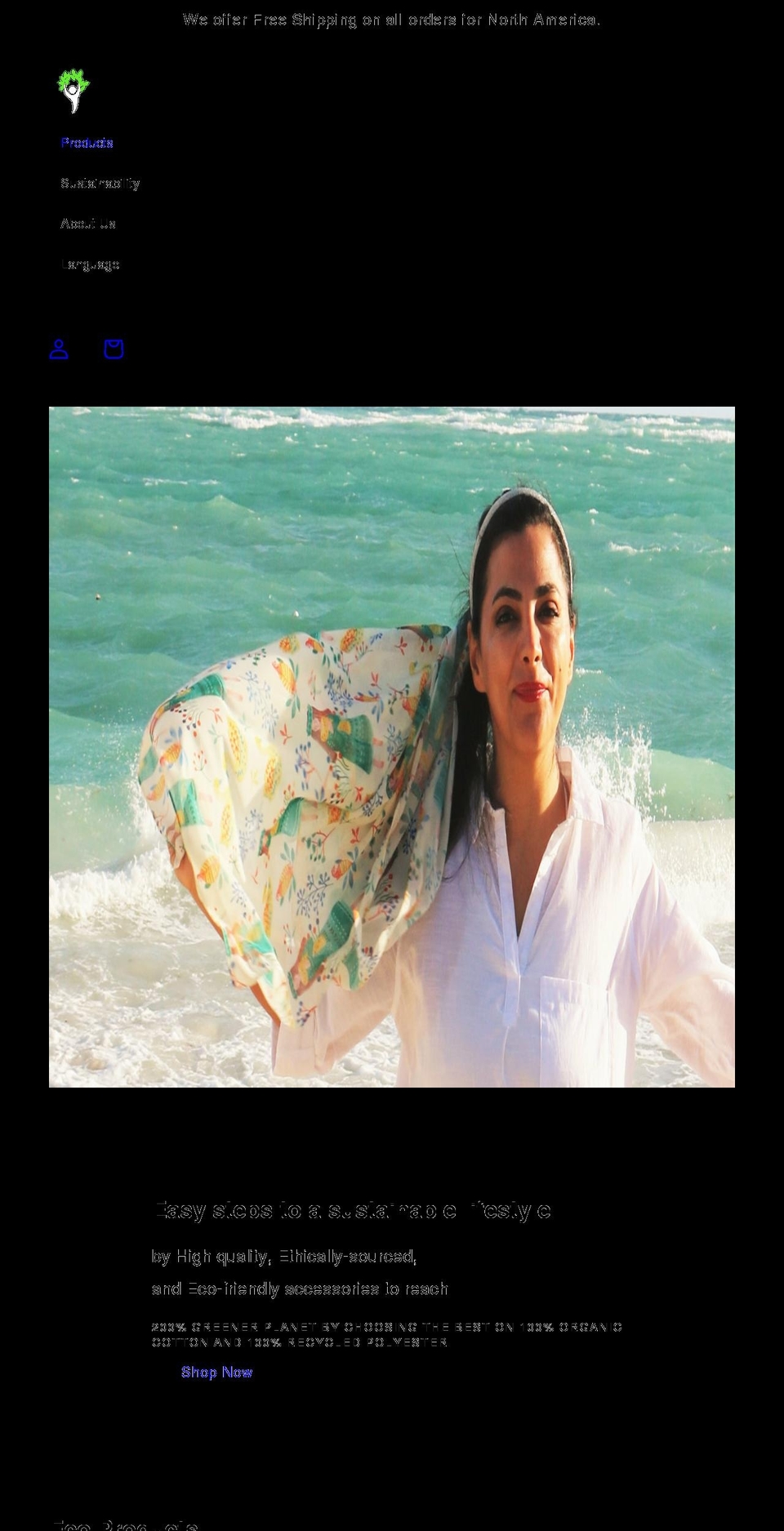 lilirayepic.com shopify website screenshot