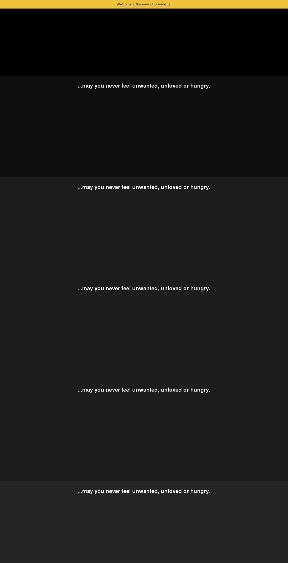 lilliesofcharleston.com shopify website screenshot
