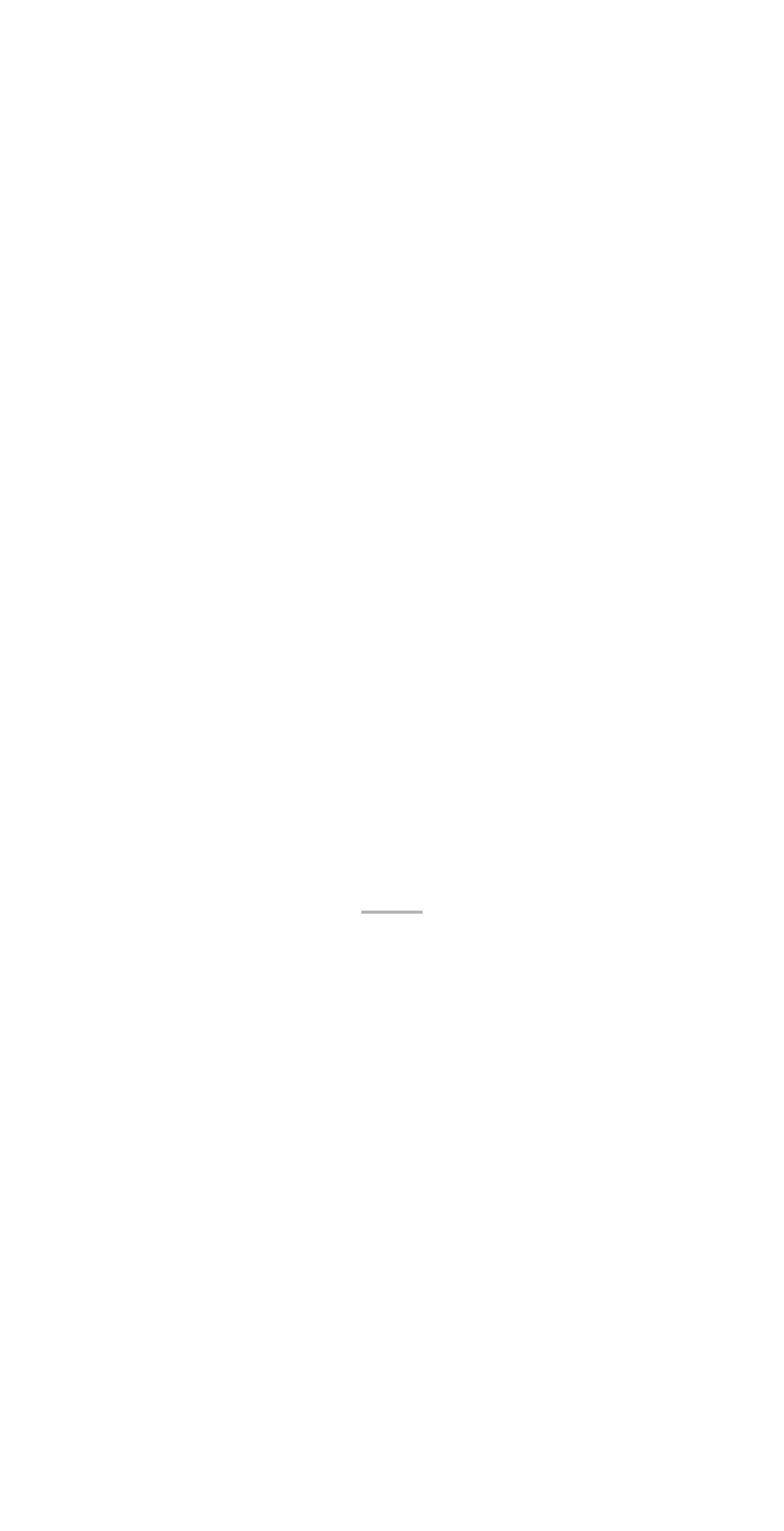 lilly-brush-co-llc.myshopify.com shopify website screenshot
