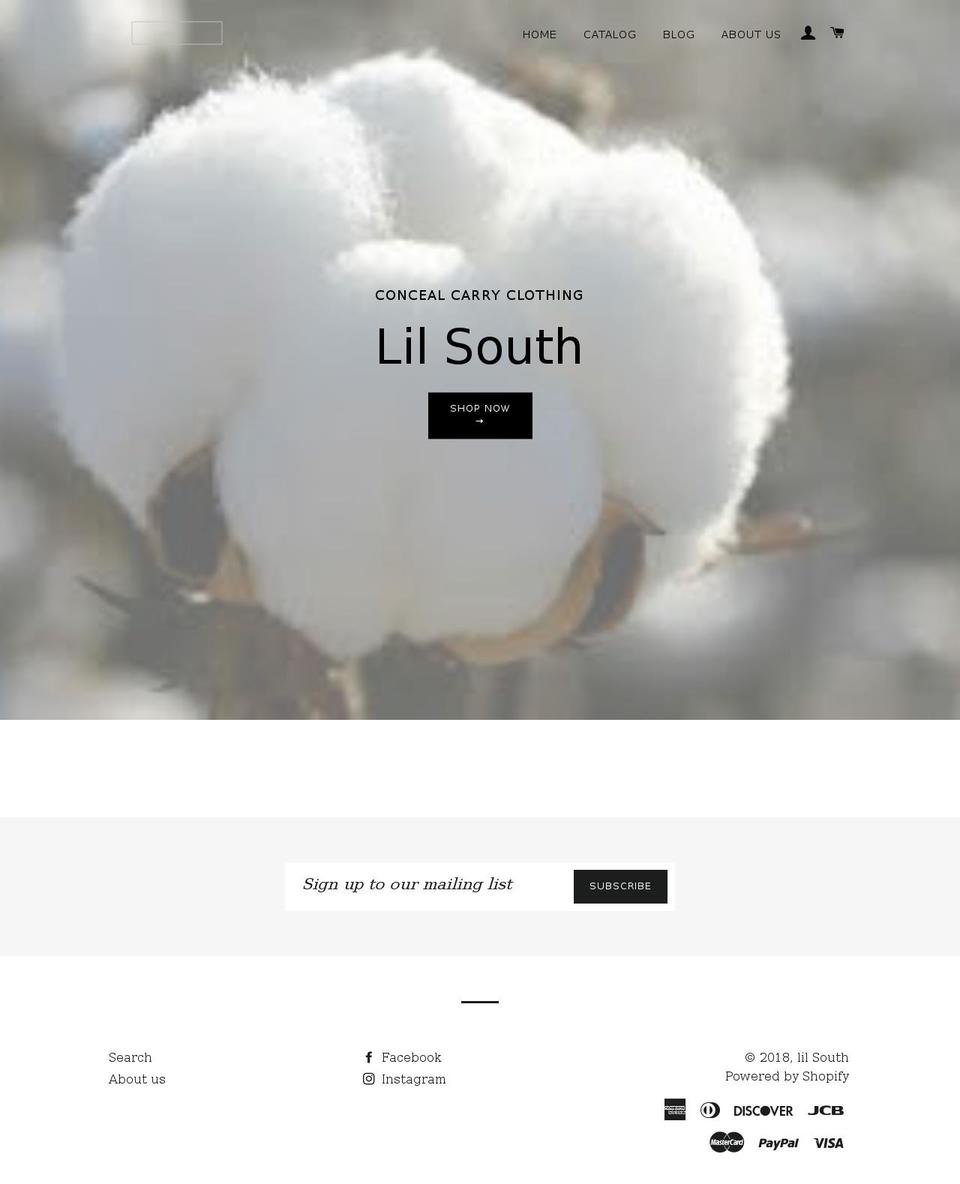 lilsouthretail.com — Shopify storefront screenshot