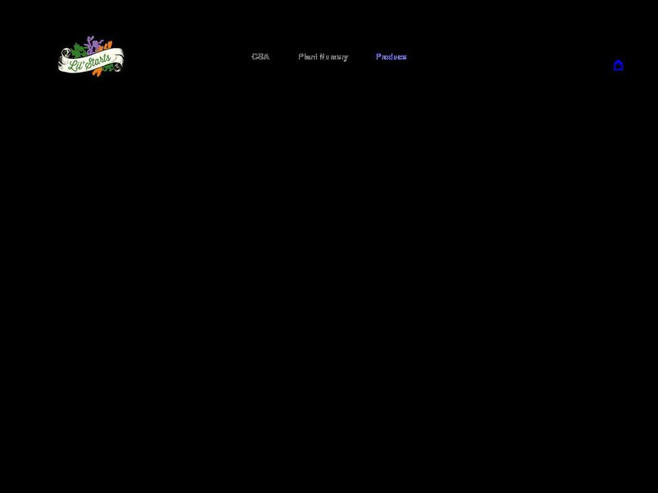 lilstarts.com shopify website screenshot