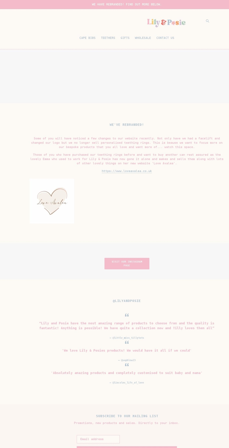 lilyandposie.com shopify website screenshot
