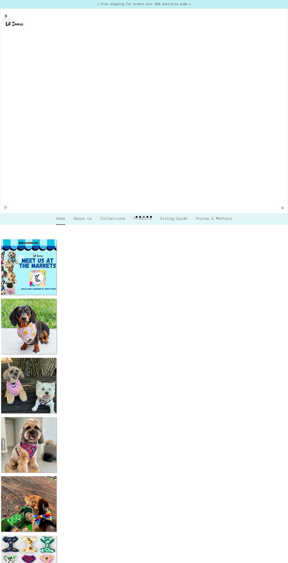 lilzoomi.com shopify website screenshot
