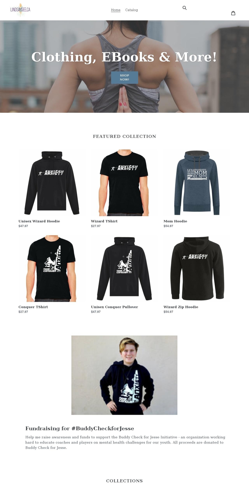 lindsay-gee-programs-products-more.myshopify.com shopify website screenshot
