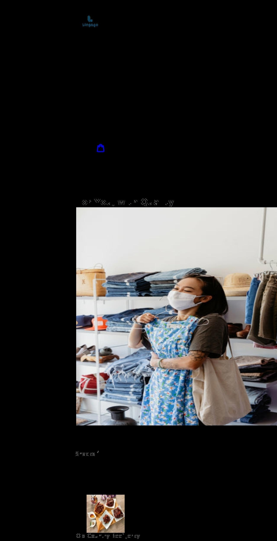 lingogointernational.com shopify website screenshot