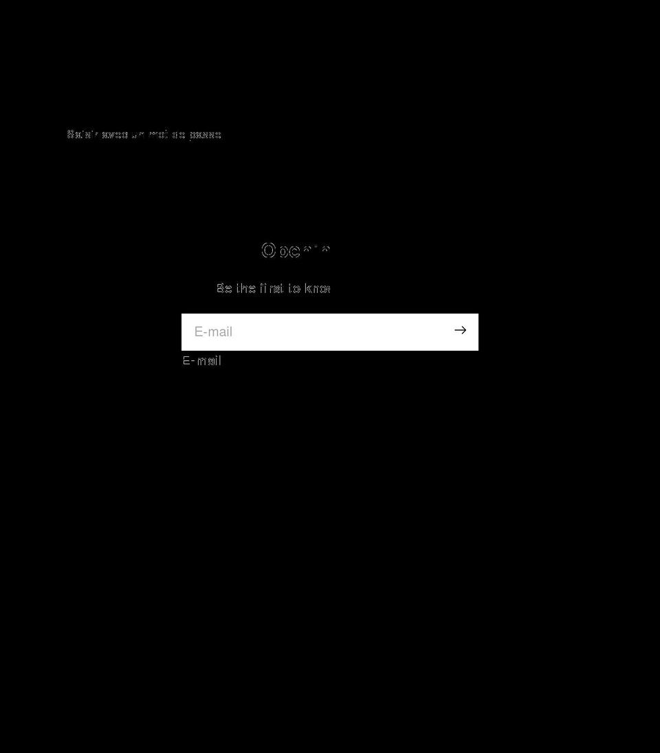 lintstopper.com shopify website screenshot