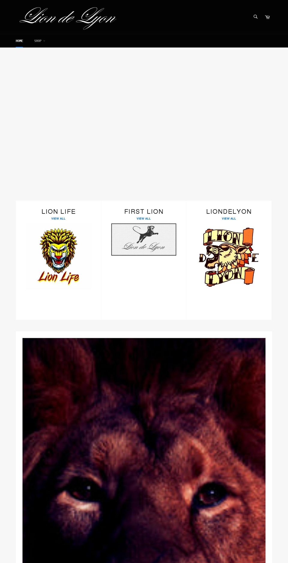 liondelyon.fr shopify website screenshot