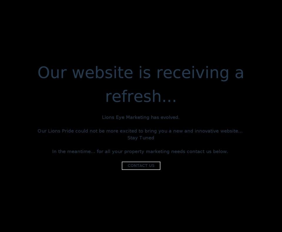 lionseyemarketing.com shopify website screenshot