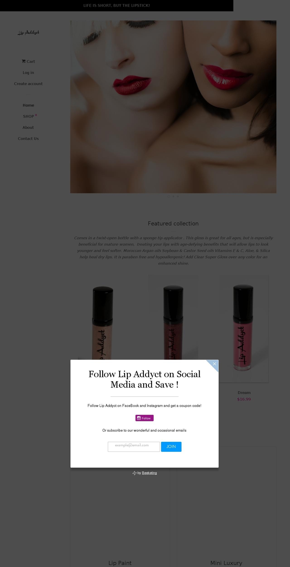 lipaddyct.com — Shopify storefront screenshot
