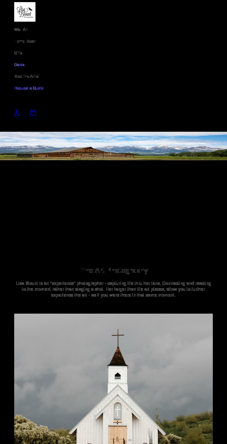lisablountphotography.com — Shopify storefront screenshot
