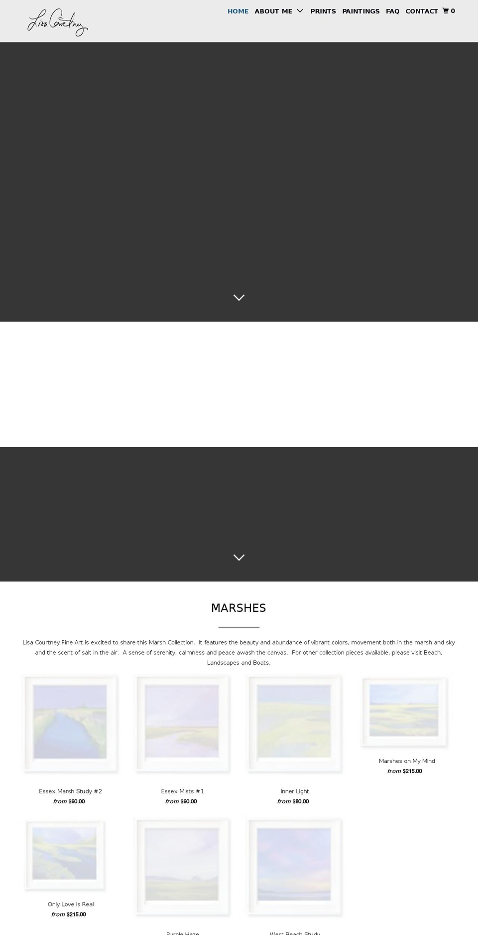 lisacourtneyfineart.com shopify website screenshot