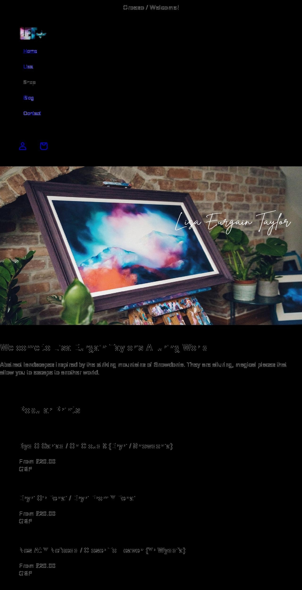 lisaeurgaintaylor.com shopify website screenshot