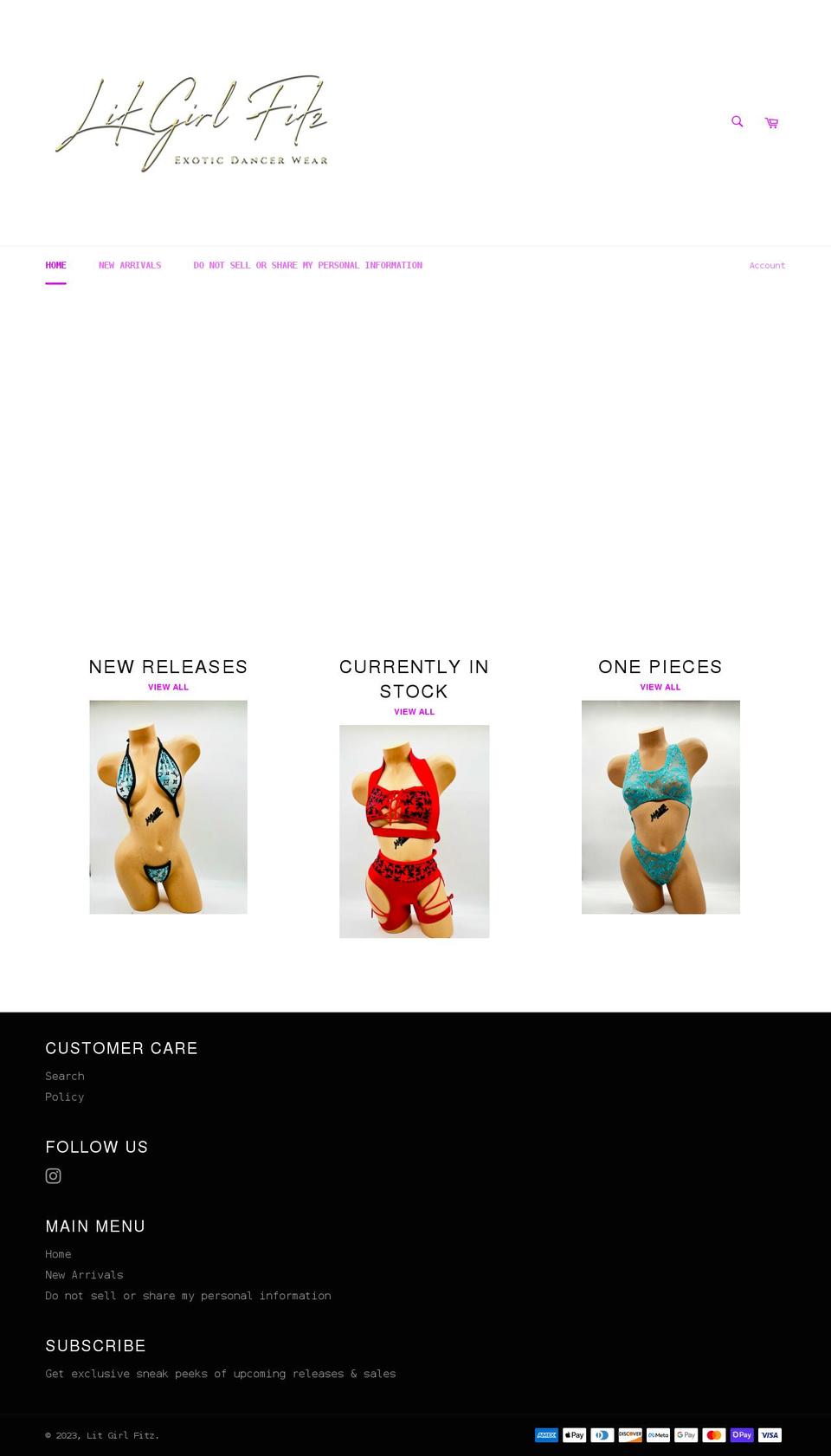 litgirlfitz.com shopify website screenshot