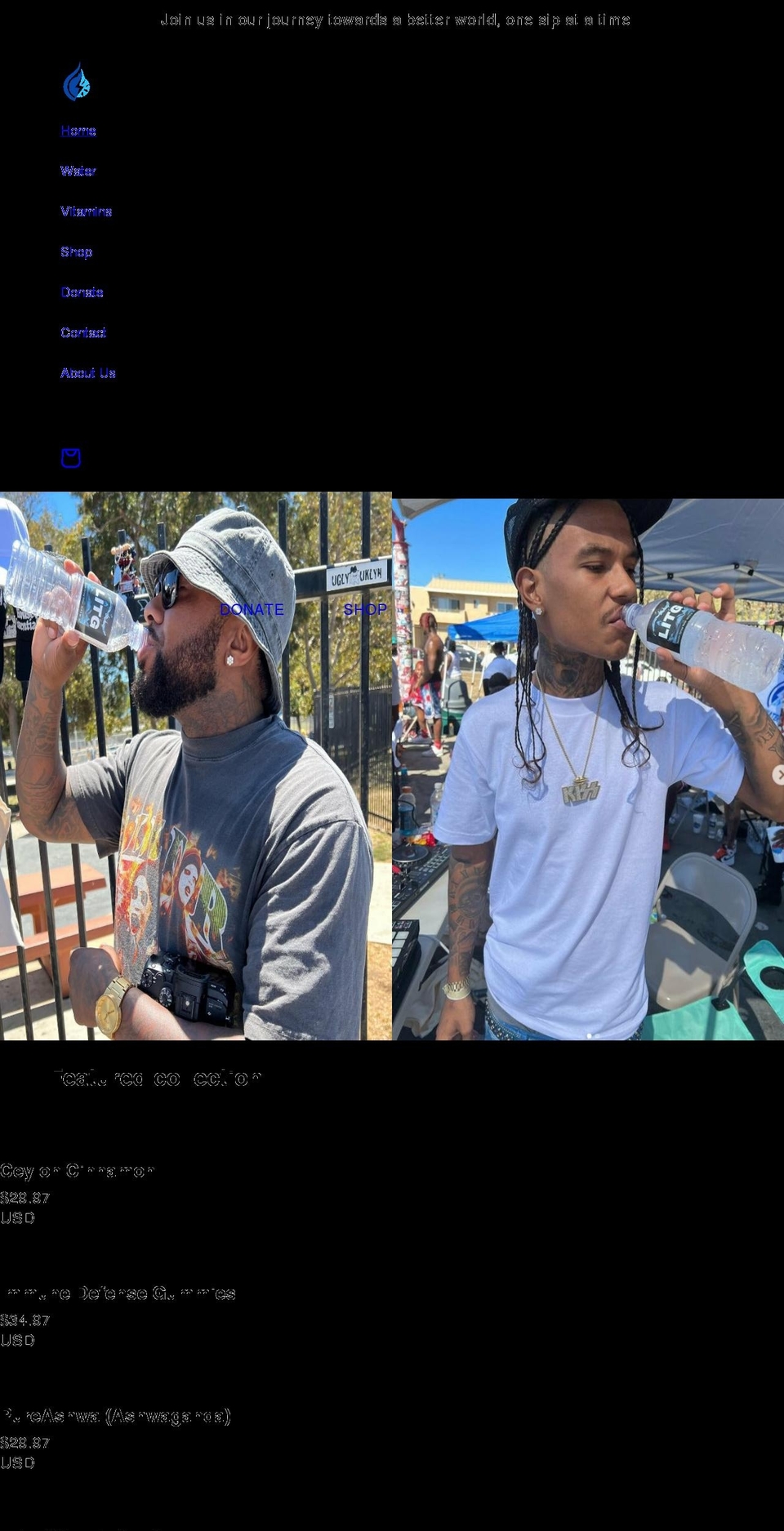 litgwater.com shopify website screenshot