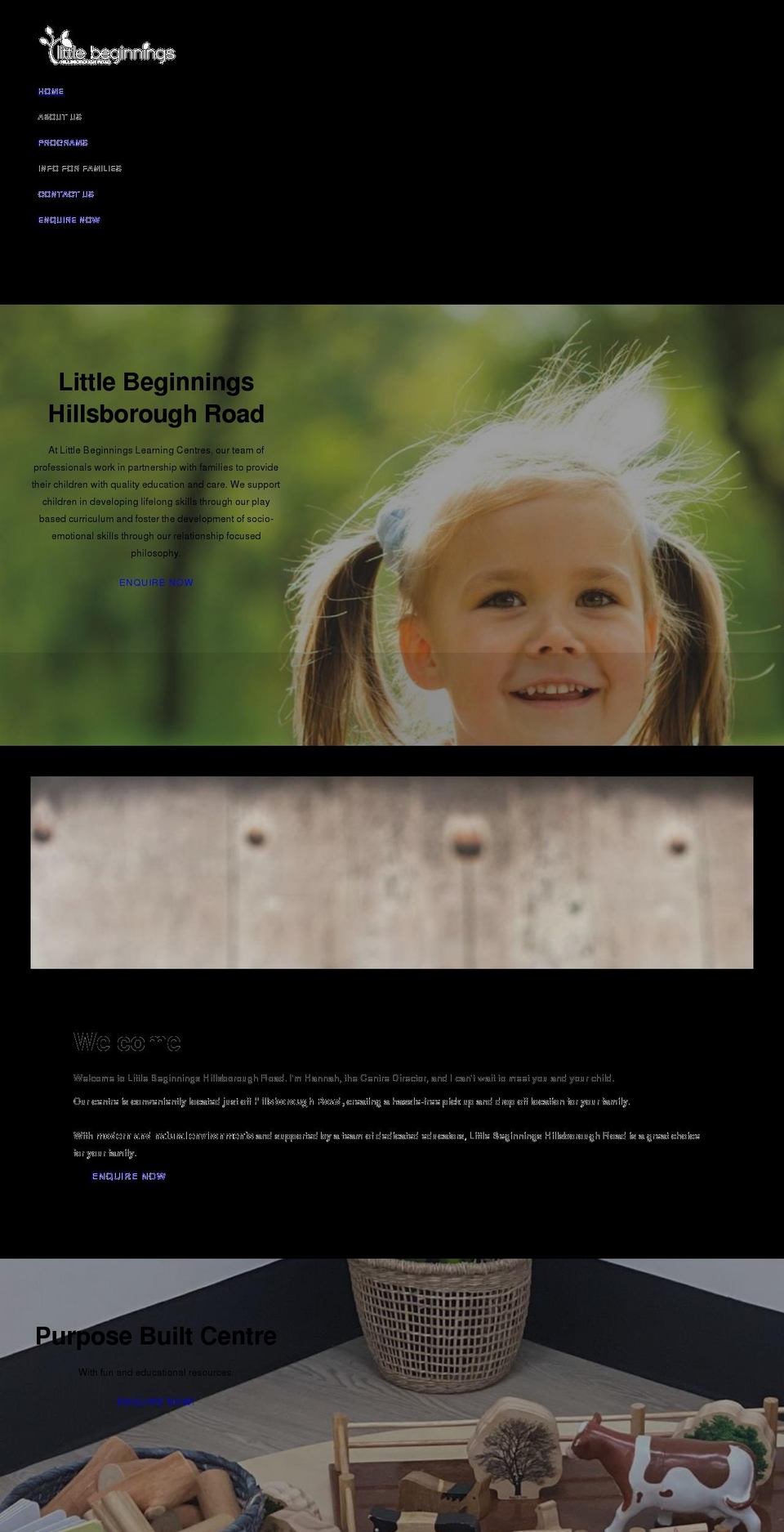 littlebeginningshillsboroughroad.com.au shopify website screenshot