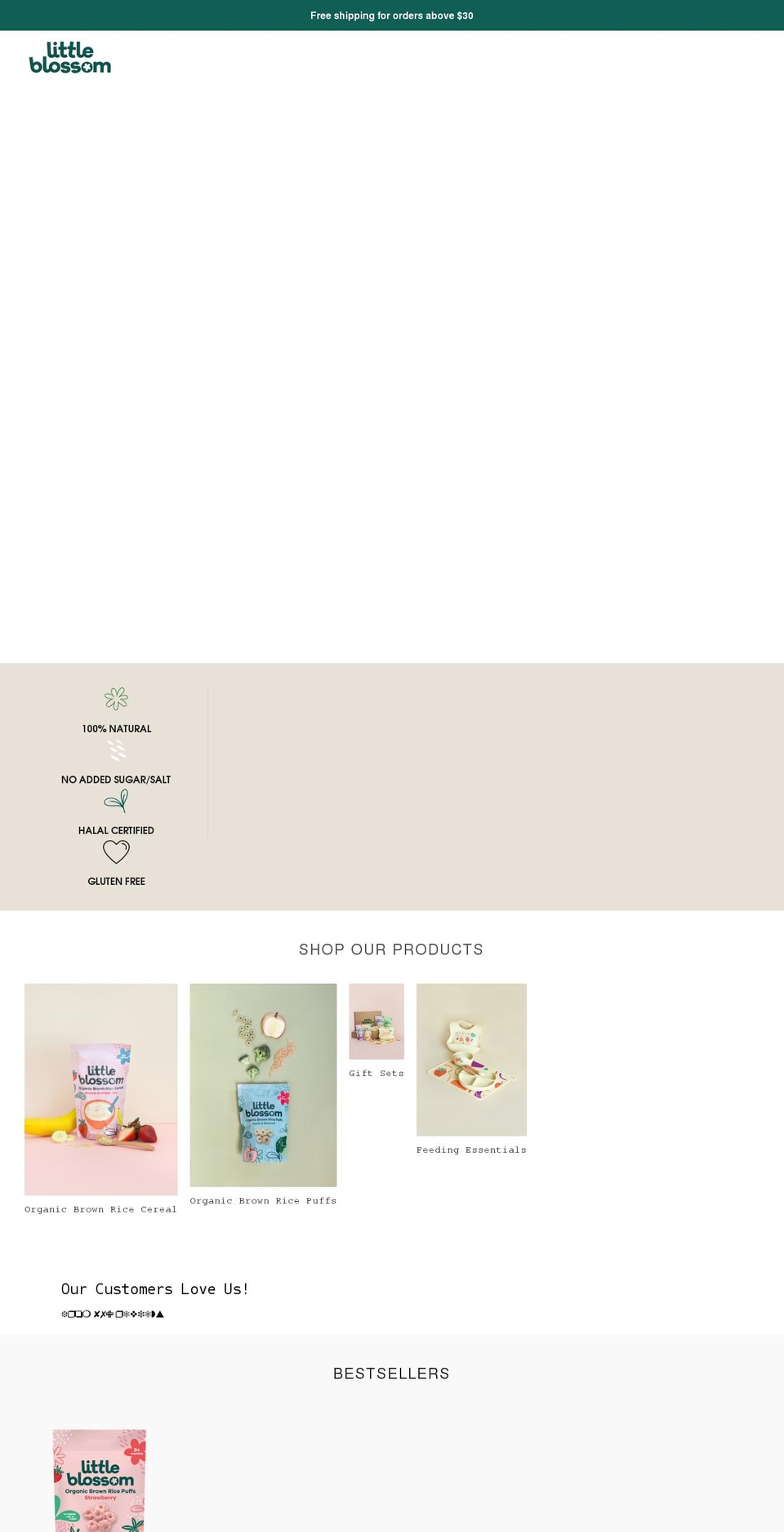 littleblossom.co shopify website screenshot