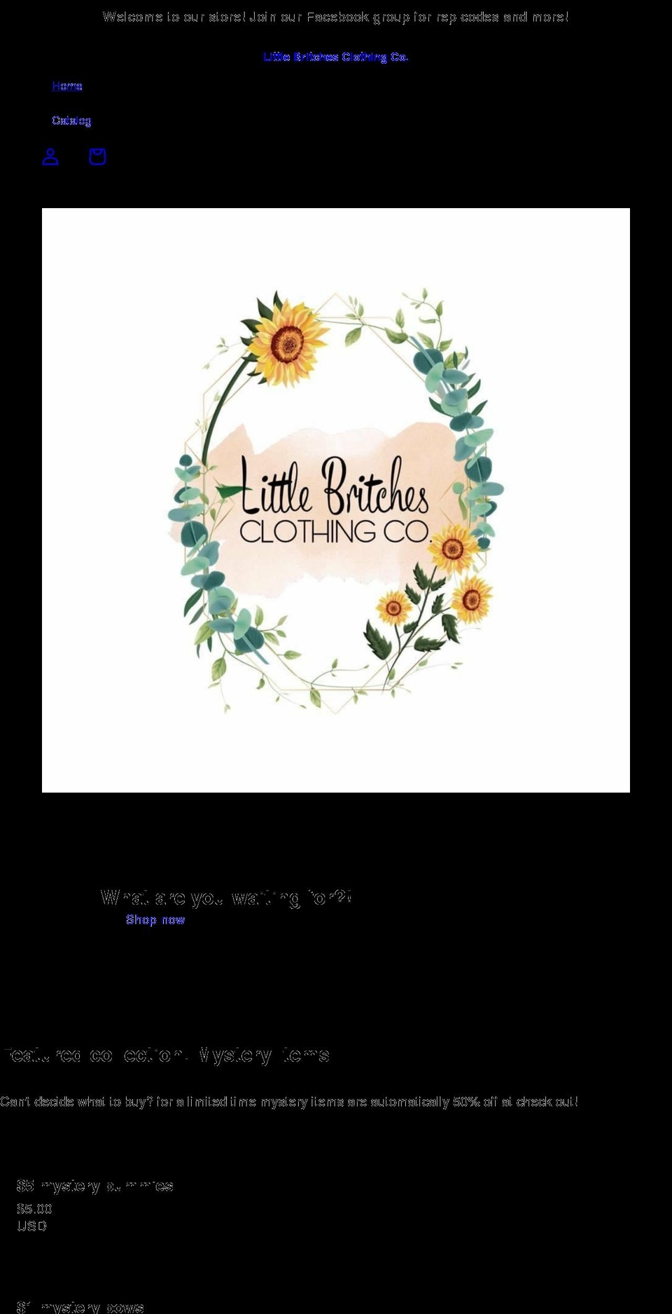 littlebritchesclothingco.com shopify website screenshot