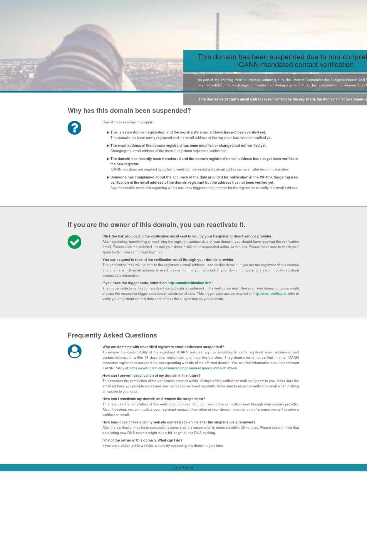 littlehappyhut.com — Shopify storefront screenshot