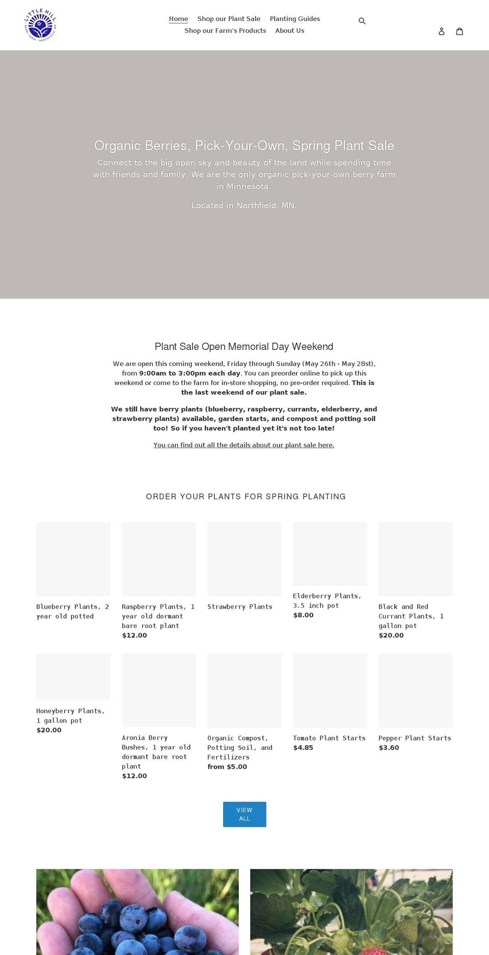 littlehillberryfarm.com shopify website screenshot