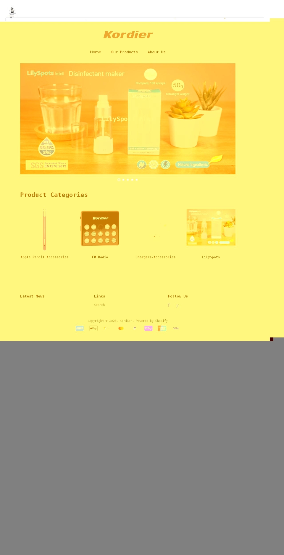 littlelamplights.com shopify website screenshot