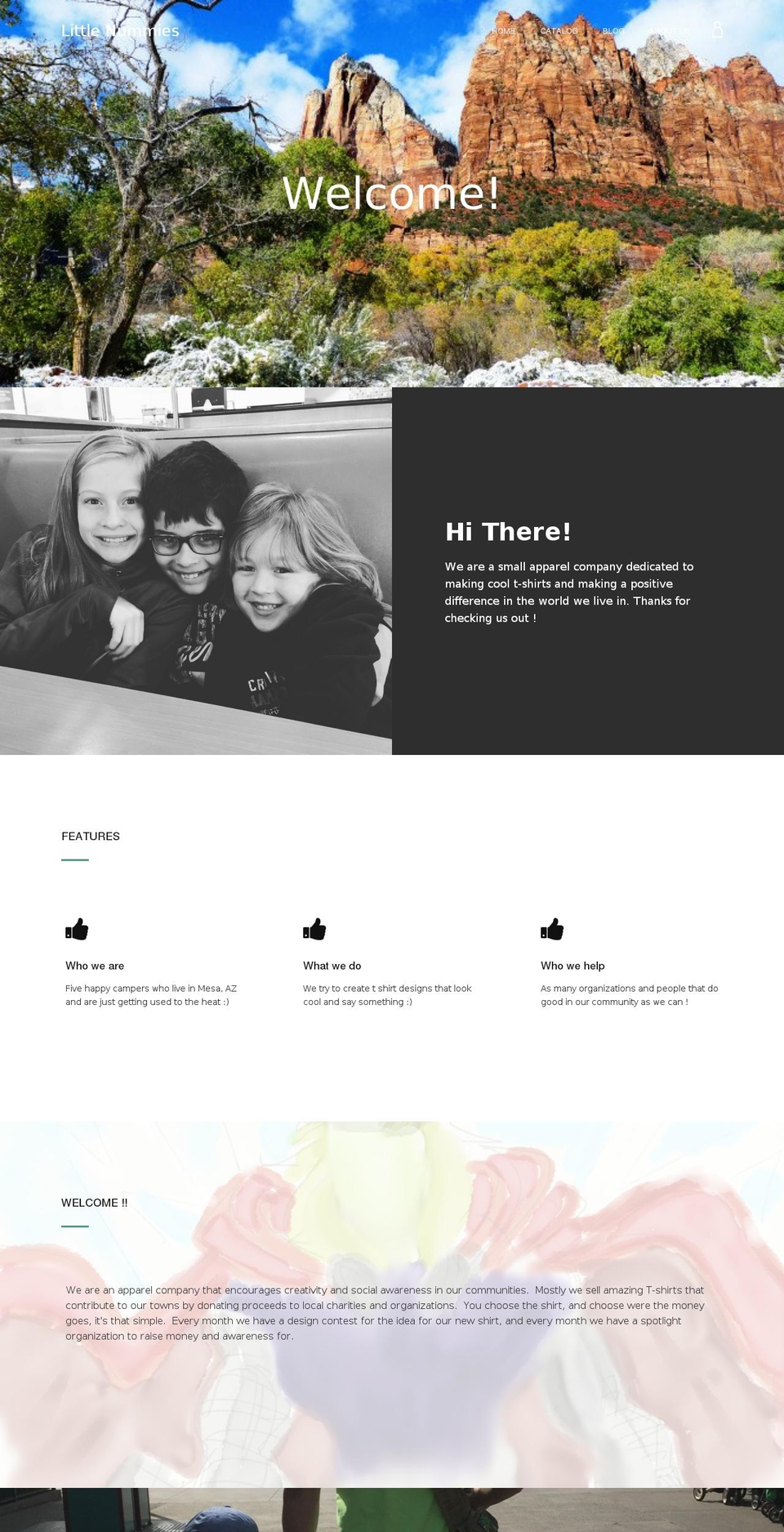 littlenummies.com shopify website screenshot